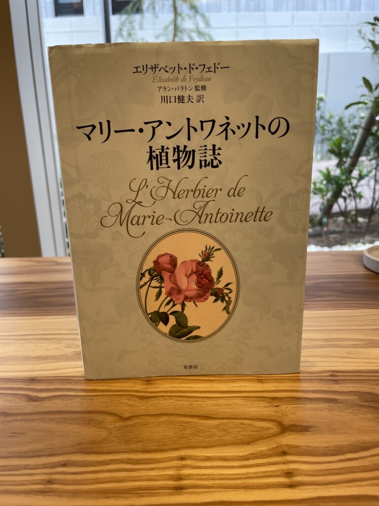 ニッセイアロマスクエア(大森・蒲田 南エリア) | 貸事務所・賃貸オフィスは貸事務所ドットコム東京