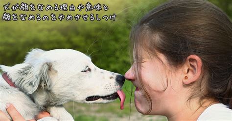 人と動物の会＠（公財）動物臨床医学研究所 - 今日は、しゅんがアミティエを卒業していきました。里親さんに巡り合えて、新しい家族となりました。よかったです。今後とも宜しくお願いします。  |