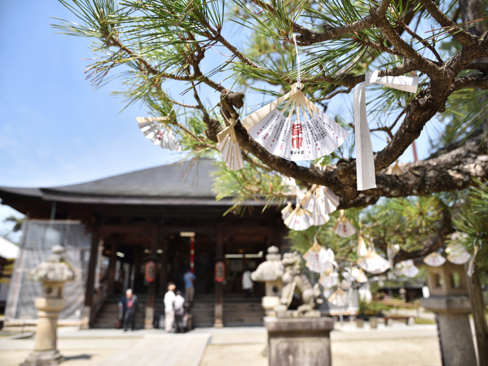 天橋立のおすすめ格安ホテル・旅館10選：人気の宿をご紹介 - おすすめ旅行を探すならトラベルブック(TravelBook)