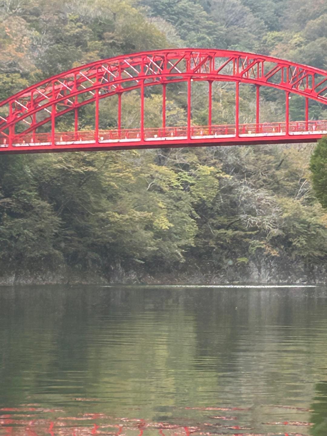 廣島奥様チン電 [流川発デリヘル] - アンデス