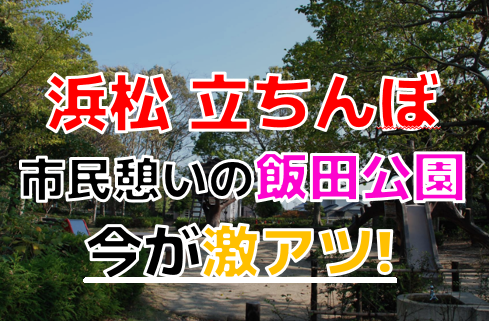 静岡・浜松のセクキャバをプレイ別に7店を厳選！お持ち帰り・忍び手・いちゃいちゃの実体験・裏情報を紹介！ | purozoku[ぷろぞく]