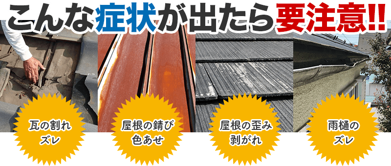 宮崎県にも 『 トトロのバス停 』 が｜どこでも晴れたらワン歩