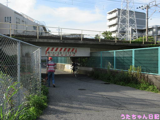 1月だし神社仏閣めぐりでもしない？ 根岸・入谷・竜泉で年始めにふさわしい宅建デートコースを。｜さんたつ by 散歩の達人