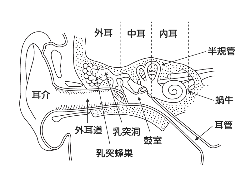 低脂肪乳 ミルクパン 75g 通販 |