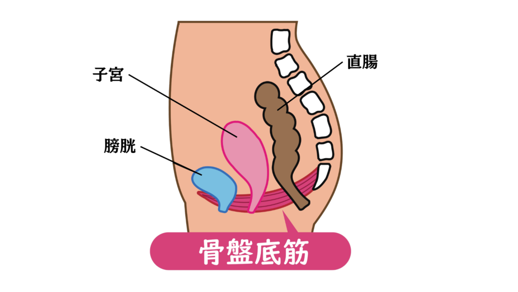 腟から音が。腟ナラって？ - フェムケア専門サロン 膣ラボ「ブーケ」フェムケア専門サロン