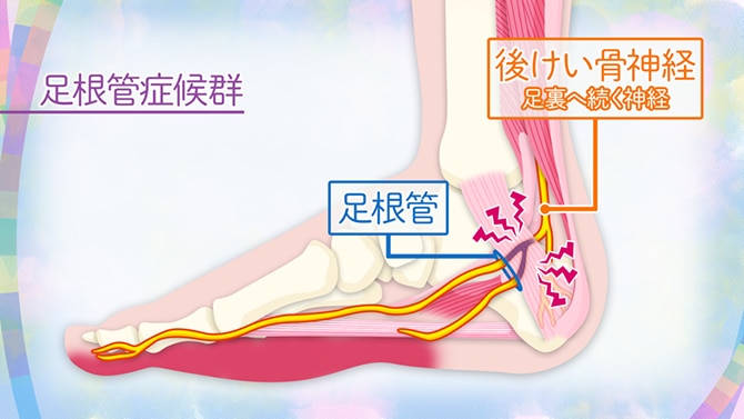 足もみ｜群馬県前橋市・富岡市・沼田市の足もみ＆整体 足の健康から全身の健康へと導きます