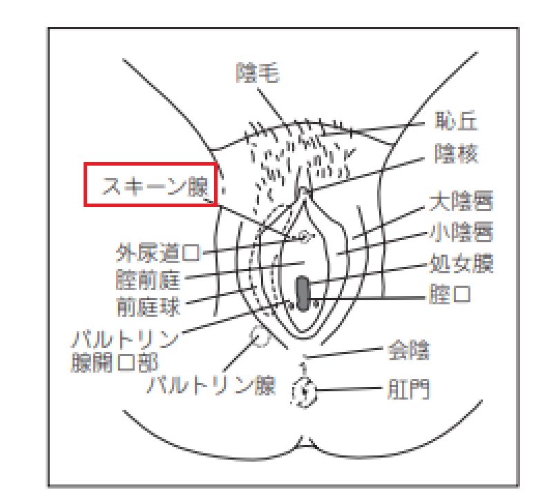 女性が“イケる方法”を女医が徹底解説｜喜ばせるテクニックとは？ ｜ TAクリニックグループ｜美容整形・美容外科｜全国展開中｜