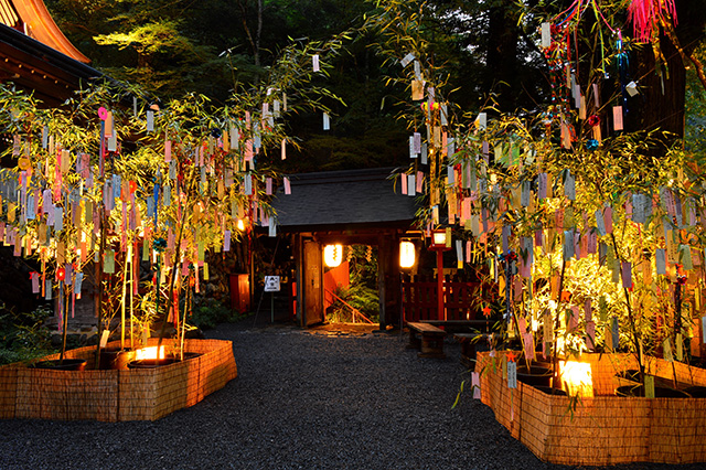 SUB【京都 観光】京都の春夏秋冬/夏の京都/秋の京都/京都観光スポット/京都散策/嵐山/南禅寺/清水寺/Kyoto's four seasons 