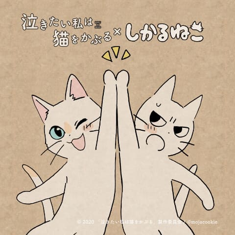 猫宮いちご | 全作品、本物中出しのAVメーカー【本中】公式サイト