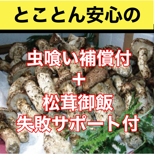 木津川市・精華町】毎年リピーター続出！ リバーサイド大扇さんのまつたけがたくさんのった丼を今年も食べに行ってきました！ | 号外NET 