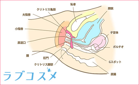 Gスポット刺激に特化したセックス体位１０選【イラスト図解版】 | セクテクサイト