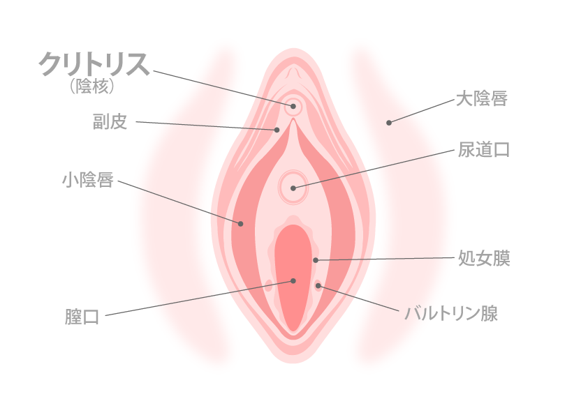 おねショタ】クリトリス・リングで肥大化してチンポになっちゃった敏感クリ！！ - エロアニメタレスト