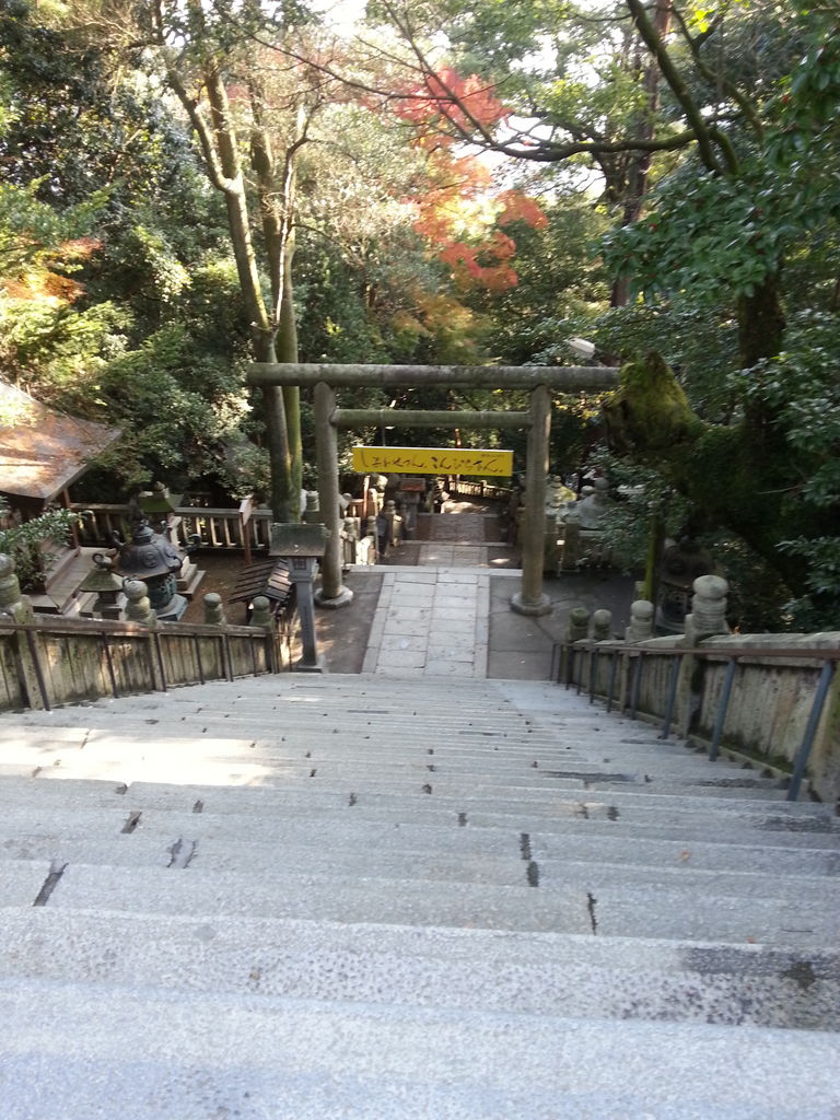 金蔵寺駅のホテル・旅館 - おすすめ宿 宿泊予約は[一休.com]