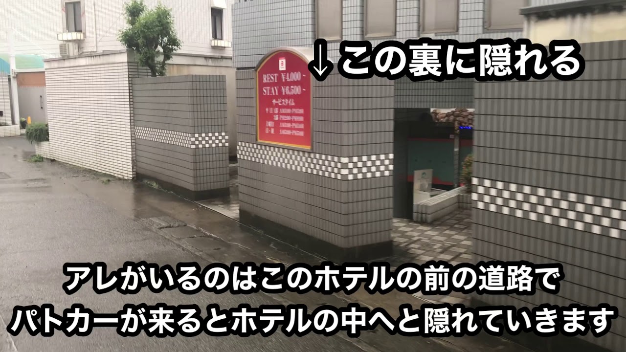 南越谷】ファミレスの醍醐味！種類豊富なメニューに圧倒される朝＠むさしの森珈琲 南越谷駅前店 :  やすみの朝はモーニング食べよし！│近畿圏内カフェモーニング食べまくりブログ（東京赴任中）