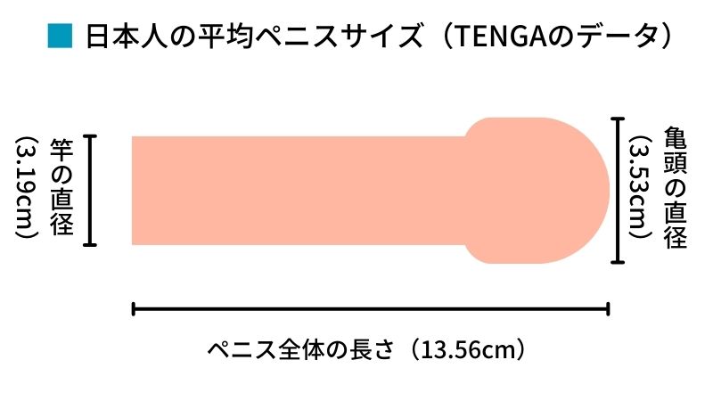 あなたの偏差値は？】日本人のペニス平均サイズと女性にとって気持ち良いサイズとは|個人輸入代行・通販ラククル