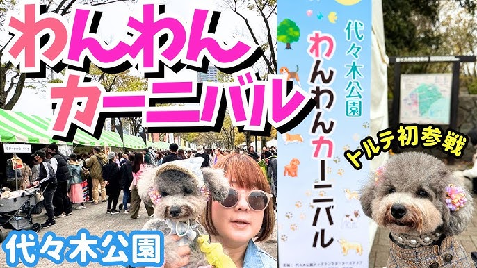 都心最大規模のワンちゃんイベント！「代々木公園わんわんカーニバル2015」東京都渋谷区「代々木公園  イベント広場およびケヤキ並木」にて4月11日(土)、12日(日)開催｜代々木公園わんわんカーニバル実行委員会のプレスリリース