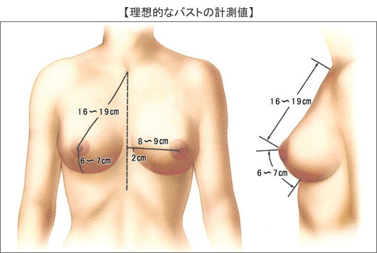 楽天ブックス: 【ベストヒッツ】どすけべW痴女クラブ 超ムチムチでか乳輪スネーク痴女は超ヤリマン×2 -