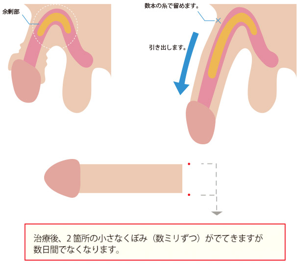 音花さくら | すべてのボディが史上最強のAVメーカー【E-BODY（イーボディ）】公式サイト