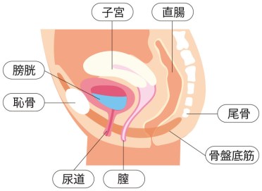 俺のP-SPOT 2,540円 | 大人のおもちゃとアダルトグッズ通販