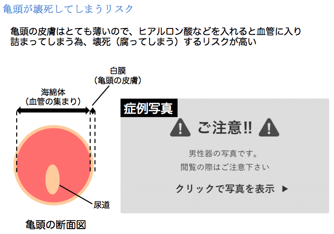 トイレットペーパーを使ったペニスの大きさと太さの測り方を紹介！｜風じゃマガジン