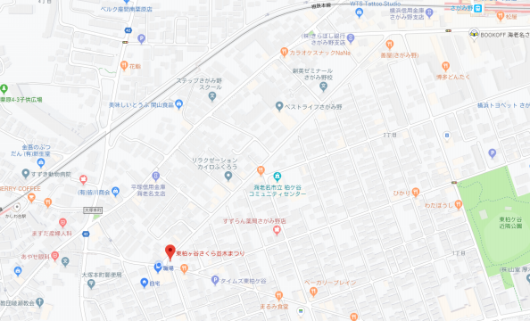 大山街道（６） 南町田駅～海老名駅