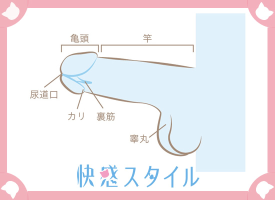 フェラでいけないときに実践したい6つの対処法！気持ちよく射精するには - 逢いトークブログ