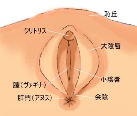 RJ01098162][ヤングファーム] 性社員お姉さん8 ～完全シロウト限定企画 連続クリトリス大絶頂