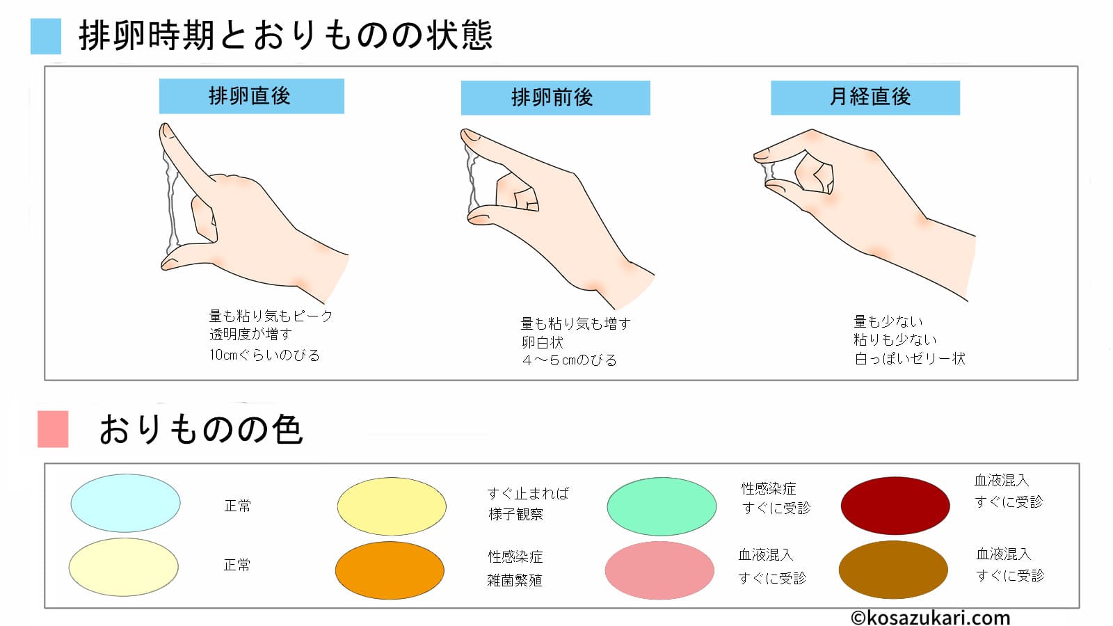 図解】デリケートゾーンの洗い方！洗う頻度や保湿ケア方法についても解説｜wakanote