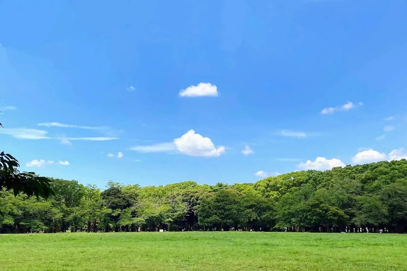 代々木八幡駅周辺 体験・遊びのイベント