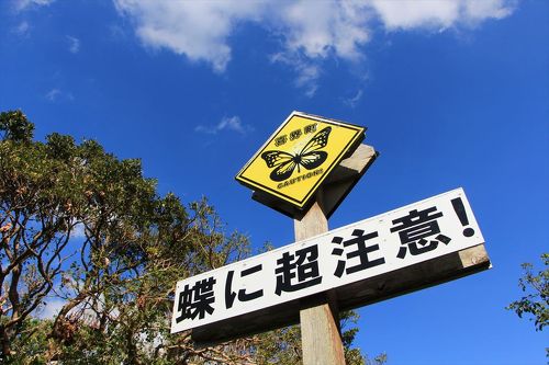 着物を着た女性の傘アゲインスト伝統的な日本の旅館 - 鹿児島県のストックフォトや画像を多数ご用意 -