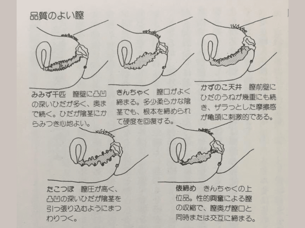 SEXの体位は48種類もある！マンネリ解消に四十八手 - ももジョブブログ