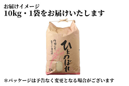 宮崎県新富町 伯楽星☆彡顔を上げ 少しずつ前へ 特別仕様