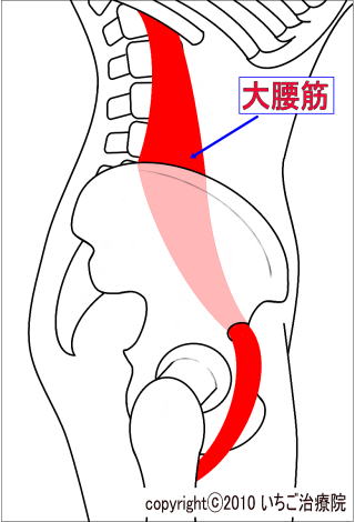 ミズノ バイオギア腰サポーター [スポーツ用サポーター