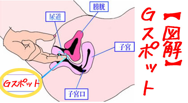 女性の性感帯はどこ？ 快感を得られる部位とセックスで刺激する方法を解説【医師監修】｜「マイナビウーマン」