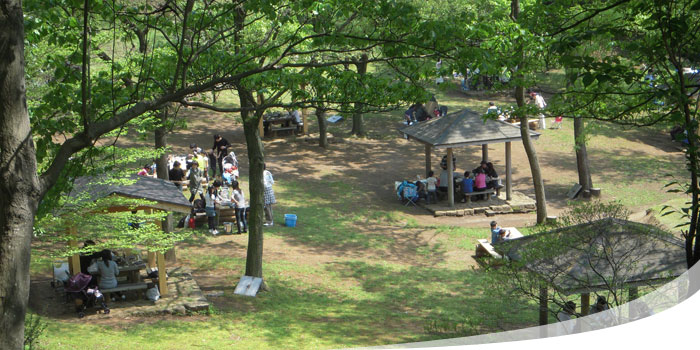 ななさわ緑のまつり（会場：県立七沢森林公園 森のアトリエ・さくらの園）／井上としお市議会議員「バーベキュー＆マグロ解体ショー」／厚木ガス 