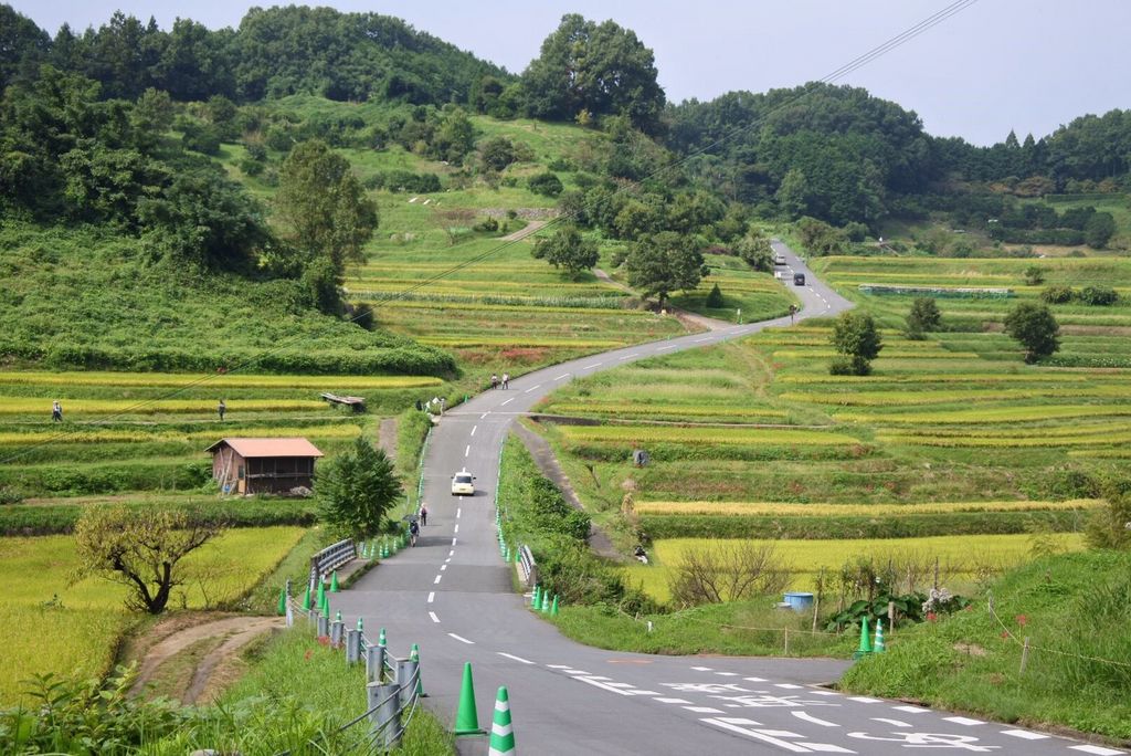 最新版】大和八木駅周辺でさがす風俗店｜駅ちか！人気ランキング