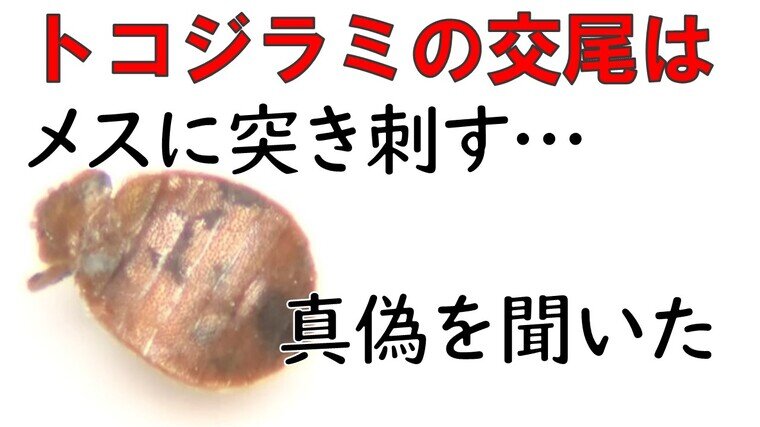 かかとの足つぼが痛い理由は？“ゴリゴリ”する位置と不調の関係を解説 ｜ からだにいいこと