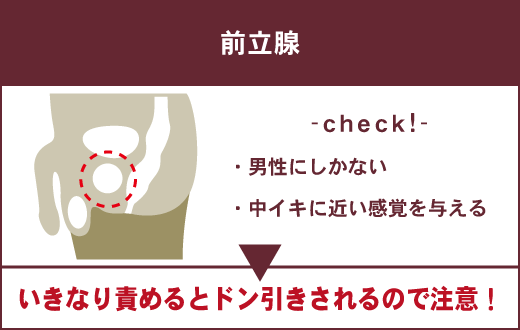 正しい前戯と性交痛を理解して女性の満足度を高める努力を！｜竹越昭彦院長コラム【浜松町第一クリニック】