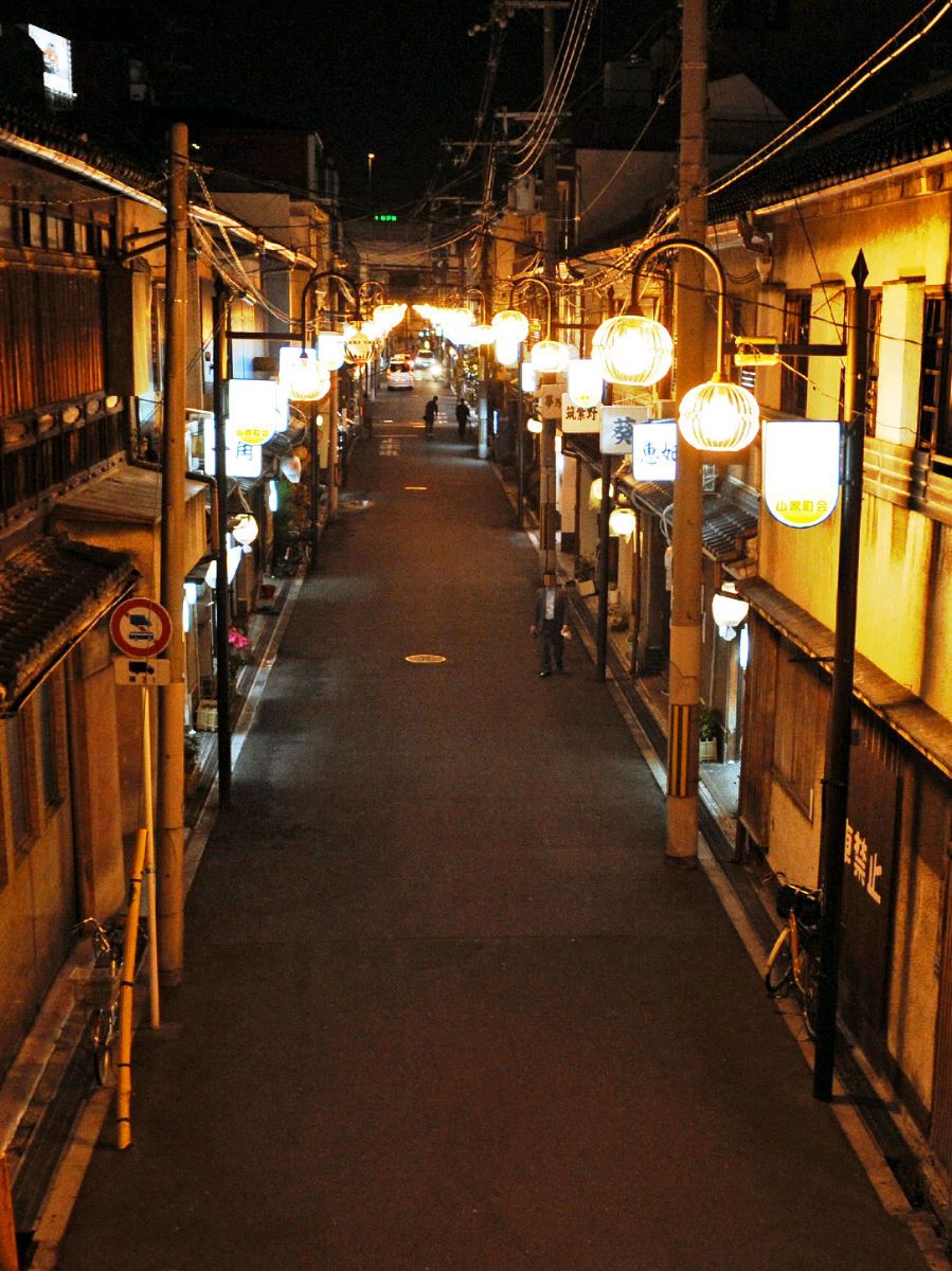 飛田新地の遊郭建築群 : 大阪の古建築