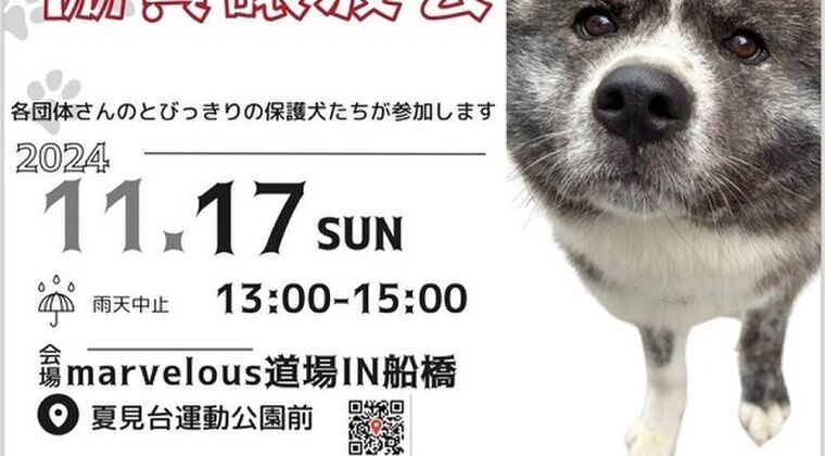 岡山保護犬の新着記事｜アメーバブログ（アメブロ）