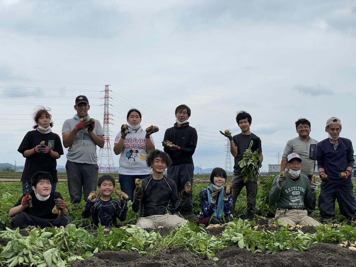 栃木県・足利市】あしかがフラワーパークは花の楽園と飲食事情 - 旅のRESUME