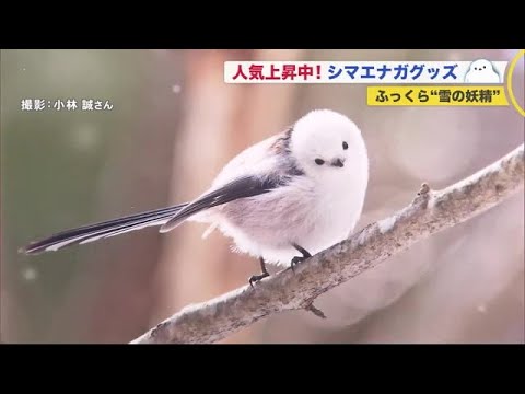 楽天市場】妖精のお芋Enjoy Peanuts房の駅 オリジナル ピーナツ