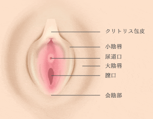 体内の超巨大クリ◯リスの刺激方法 | R30 |