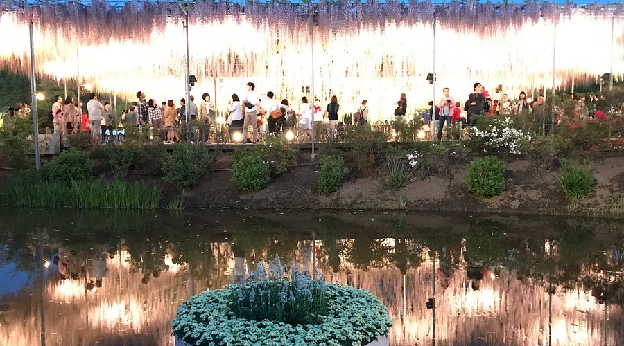 東南植物楽園「沖縄南国イルミネーション」生命の滝プロデュース | 夜景観光コンベンション・ビューロー