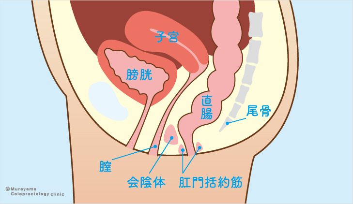 女性の肛門疾患｜大阪市住吉区あびこ駅前の肛門外科 むらやま大腸肛門クリニック