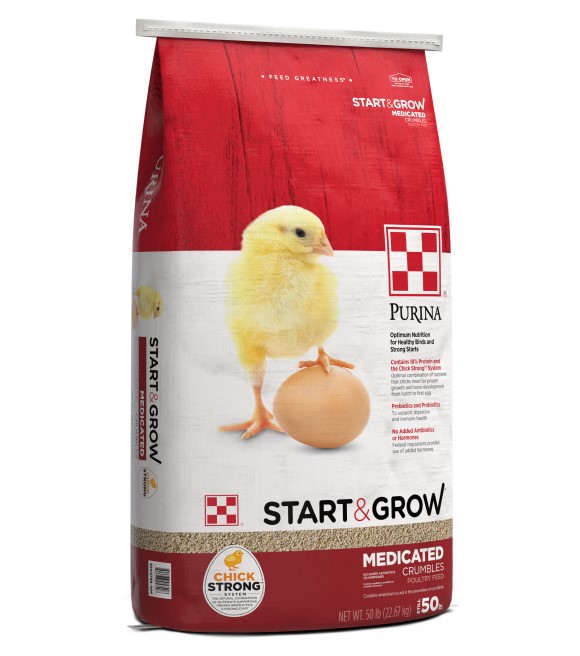 About Premium Chicks - AGRIKHUB