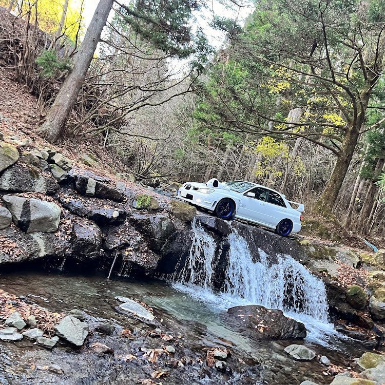 裏六甲はホント静かでいい🎵 船坂谷↑白水尾根↓ | ゆるけい登山