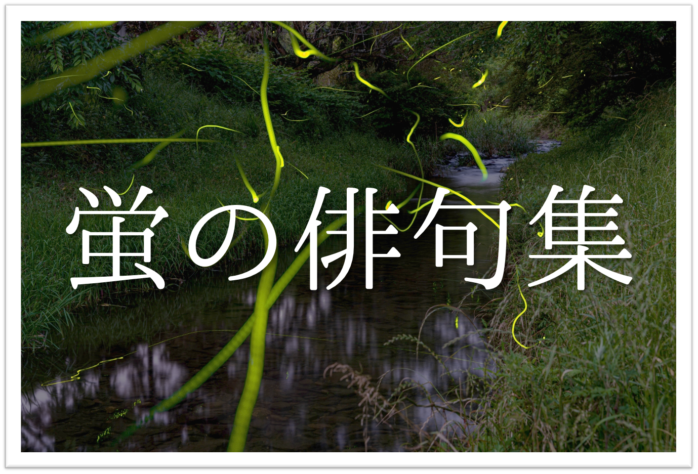 平岩蛍 (ひらいわほたる)とは【ピクシブ百科事典】