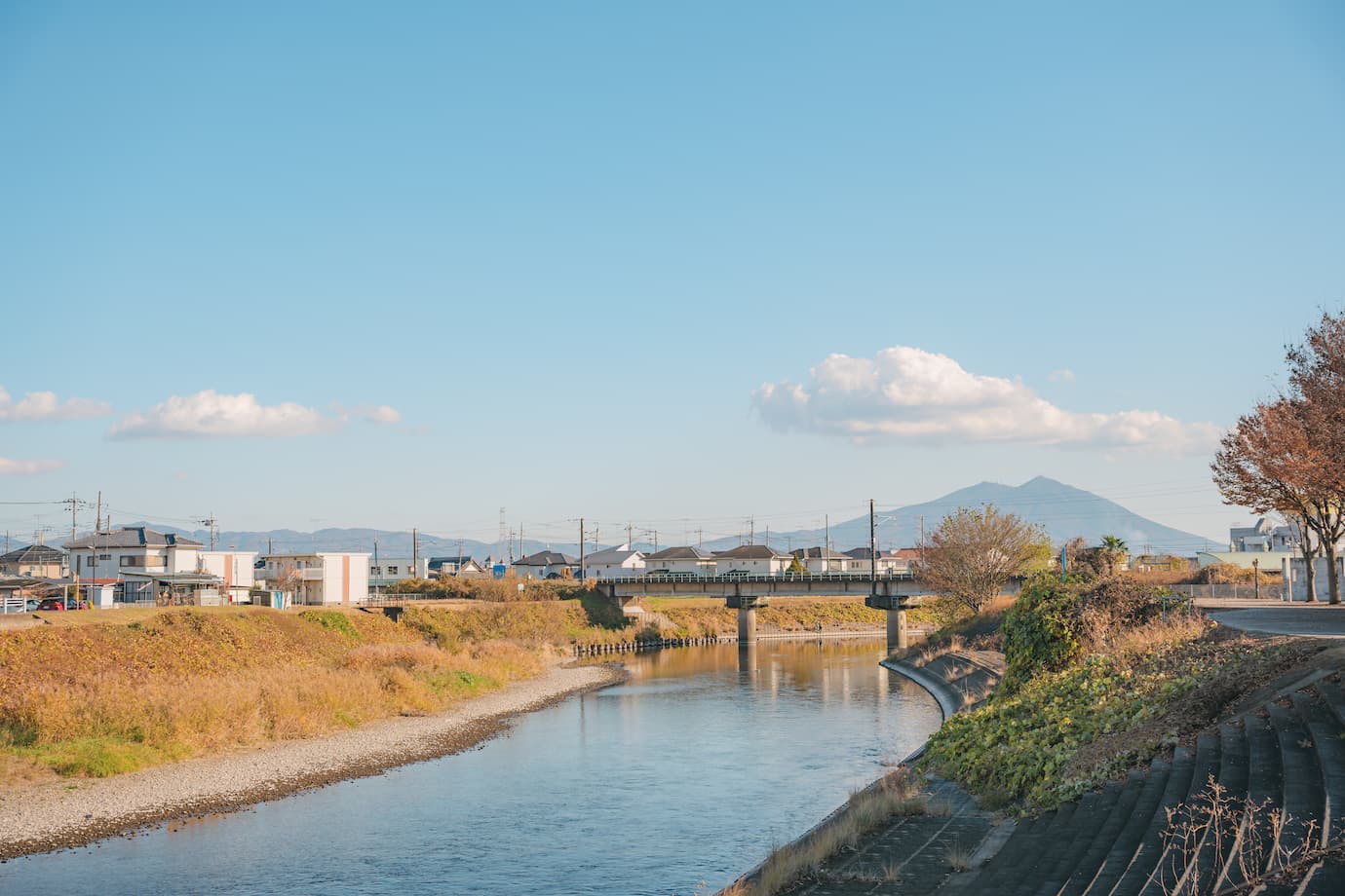 筑西市 - シン・いばらきメシ総選挙2024〜市町村対抗いばらき最強グルメ決定戦〜