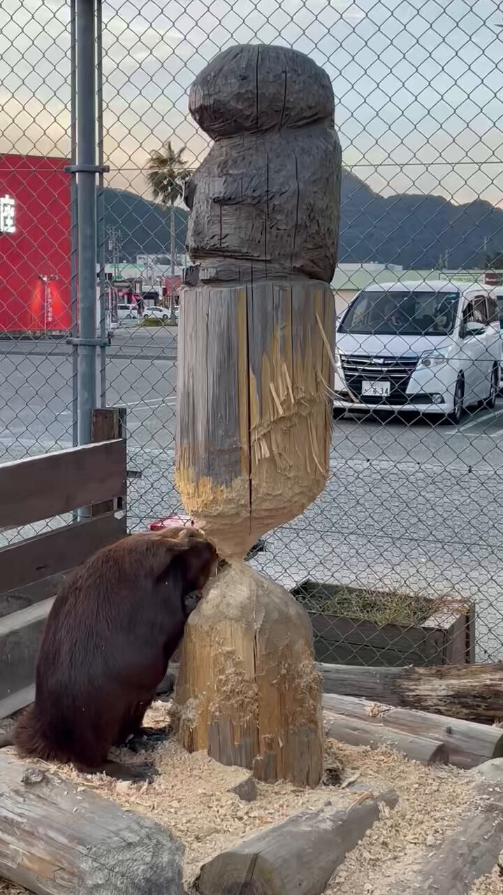 神奈川県のおすすめ日帰りスパで癒されて充実した週末を過ごそう - Tripa(トリパ)｜旅のプロがお届けする旅行に役立つ情報